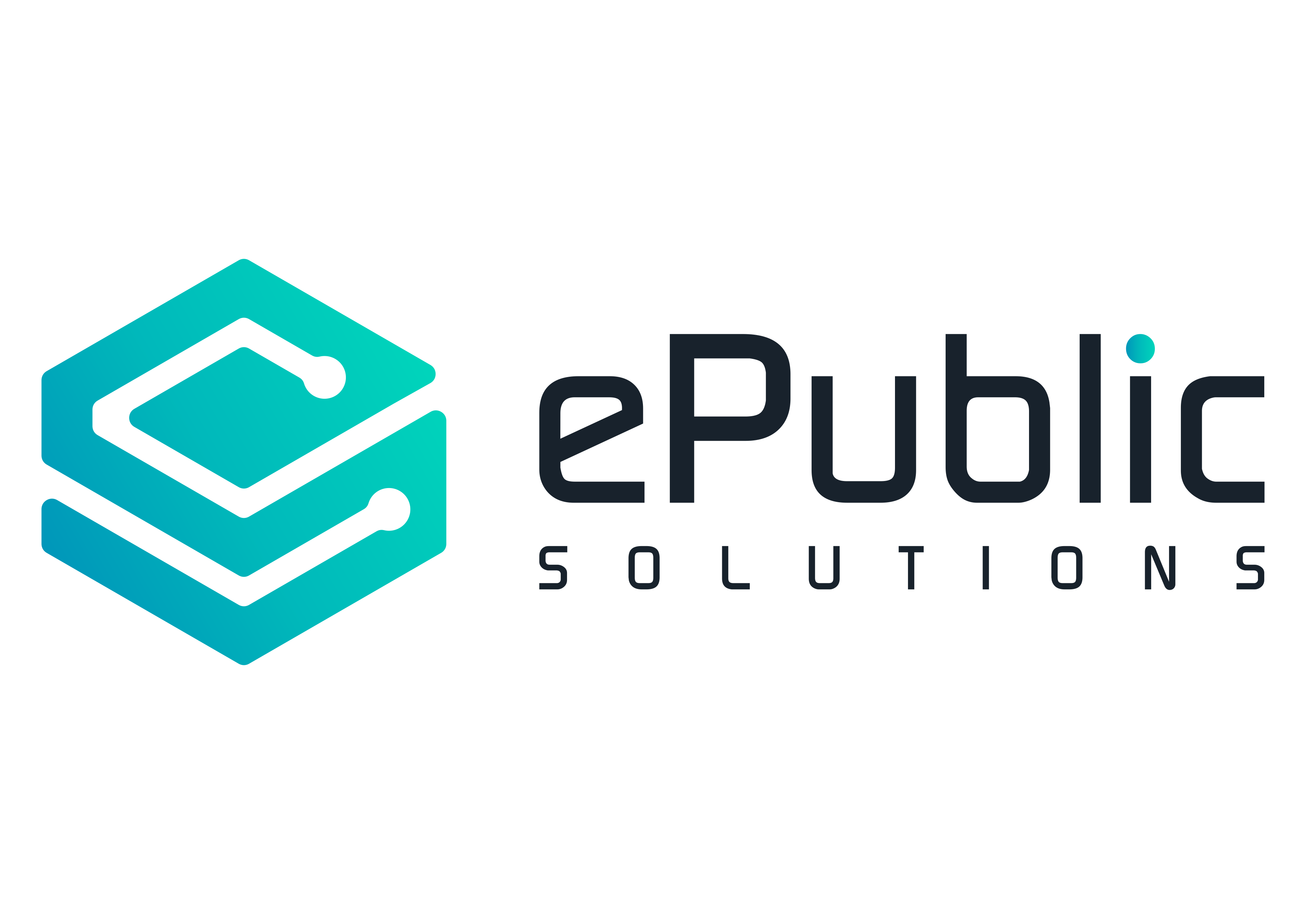 ePublic Solutions